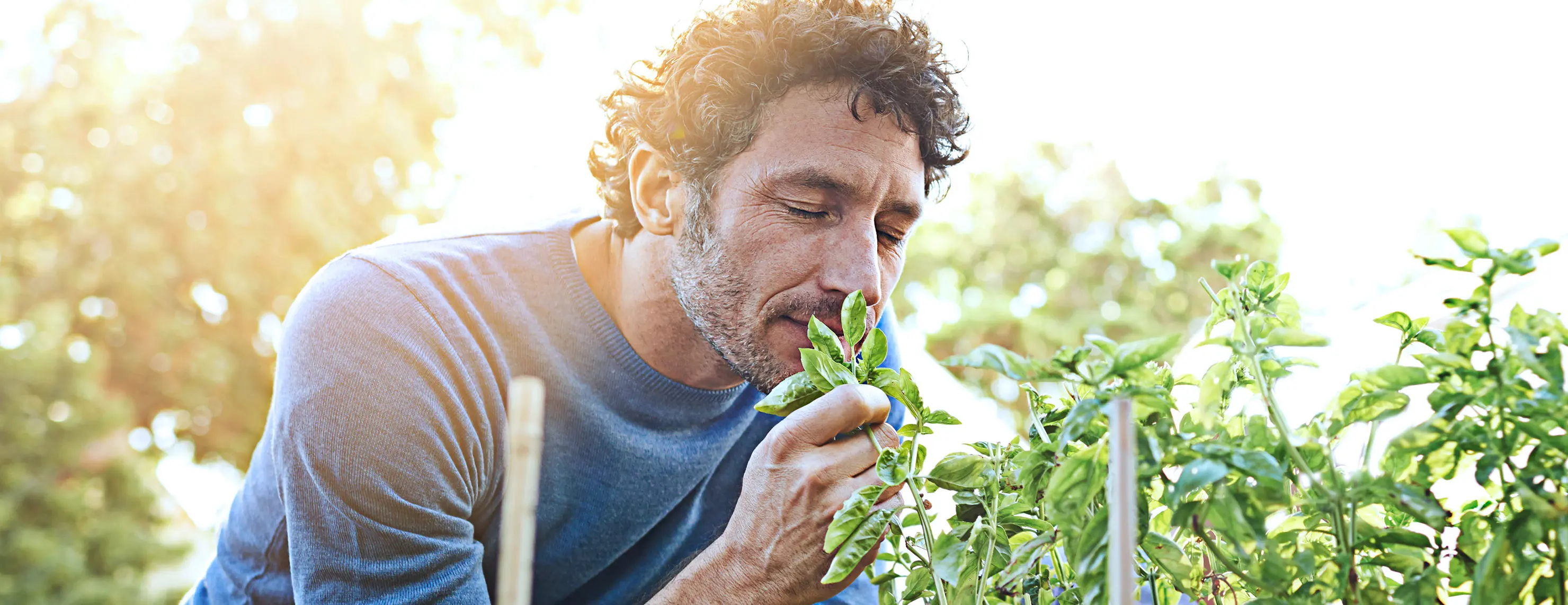 IDEAL Altersvorsorge: Mann riecht an einem Kräuterbusch